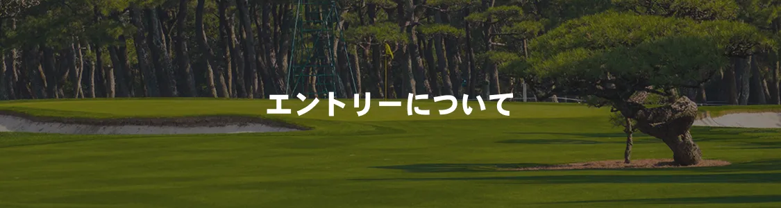 エントリーについて